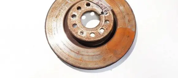 Volkswagen PASSAT B6 Front brake disc ventiliuojamas