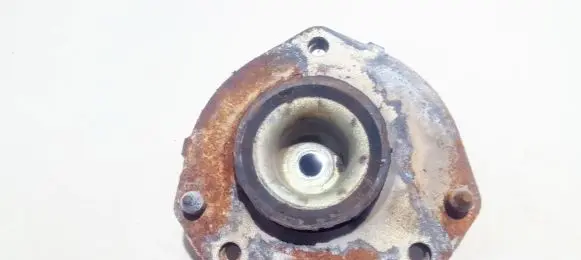 Coil spring mount