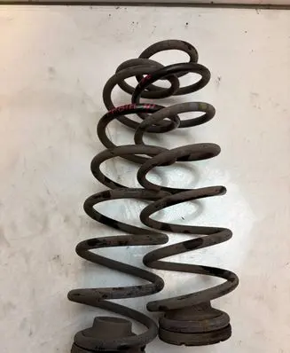 Skoda Fabia Mk3 (NJ) Rear coil spring 424234
