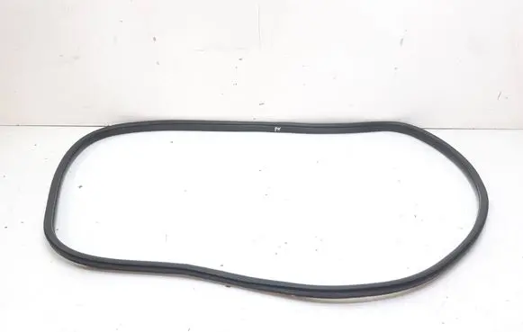 BMW X3 F25 Front door rubber seal 7311258