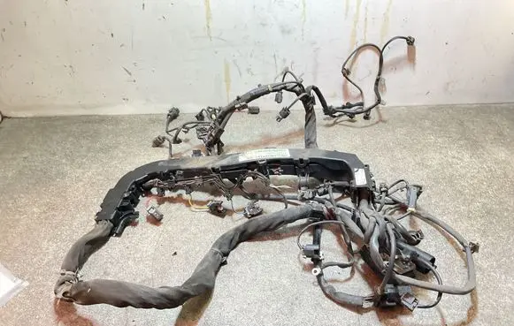 Mercedes-Benz Sprinter W906 Engine installation wiring loom 10080109 91079060 L008010199