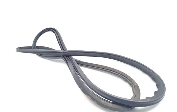 Renault Laguna III Front door rubber seal 
