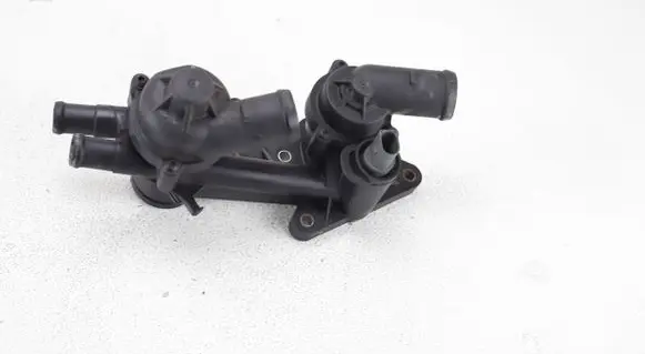 Thermostat/thermostat housing