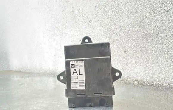 Opel Vectra C Door control unit/module 13111456