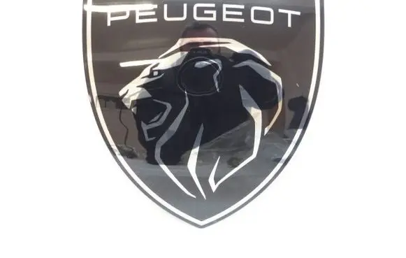 Peugeot Boxer Front bumper lower grill 52220254