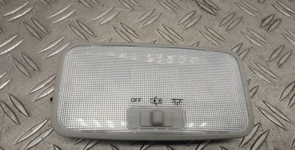 Toyota RAV 4 (XA40) Rear seat light 