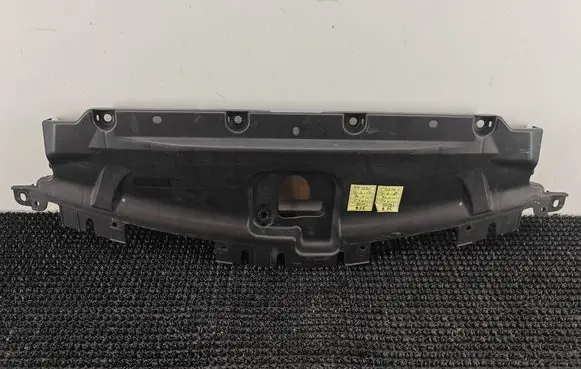 Infiniti G37 Radiator trim F82000A74000