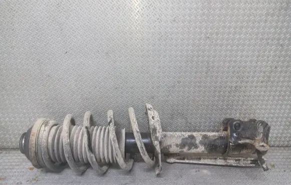 Opel Astra H Front shock absorber with coil spring 