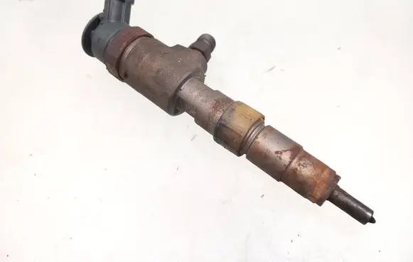 Peugeot Partner Fuel injector 0445110566