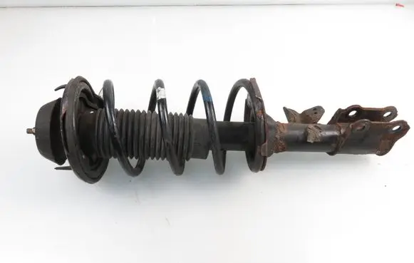 Hyundai i10 Front shock absorber with coil spring