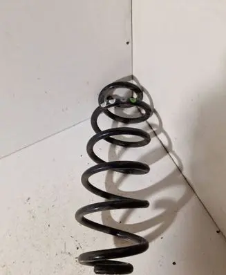 Rear coil spring