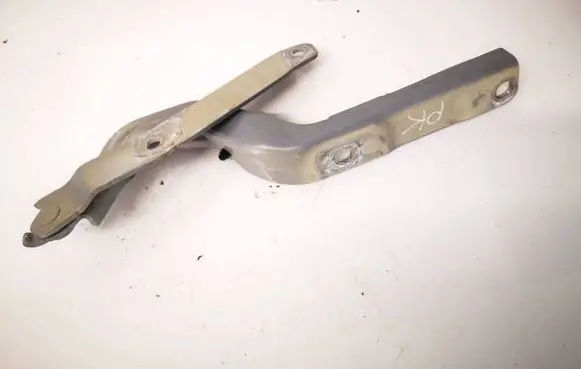 Audi Q4 e-tron Engine bonnet/hood hinges 89A823301