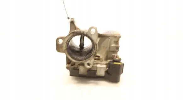 Throttle body valve
