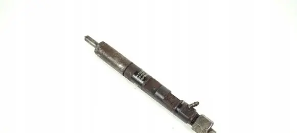 Renault Kangoo I Fuel injector EJBR05102D