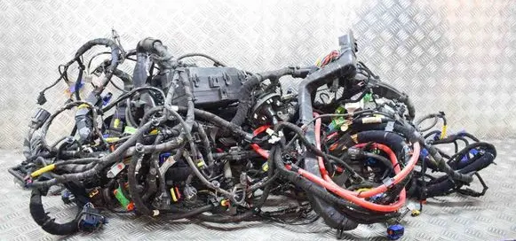 Maserati Ghibli Other wiring loom 670030451 67008610