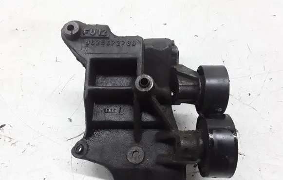 Peugeot 406 Generator/alternator belt tensioner 9625672780