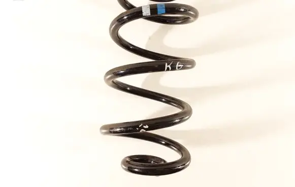 Nissan Qashqai Rear coil spring