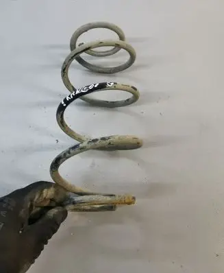 Renault Kangoo II Rear coil spring 