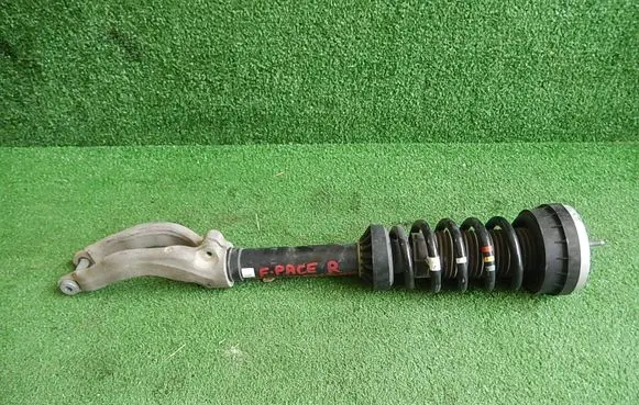 Jaguar F-Pace Front shock absorber with coil spring 18B037
