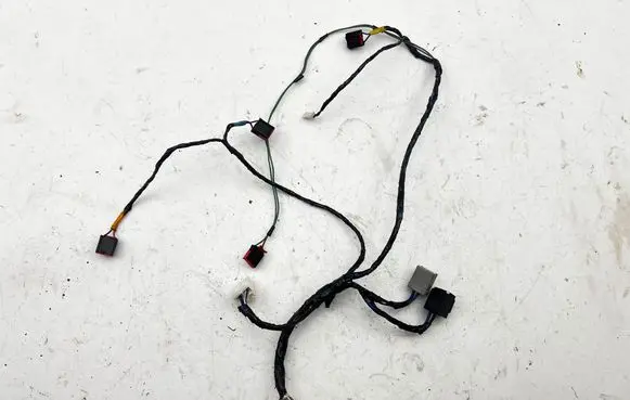 Chrysler Grand Voyager V Other wiring loom 24008840599 S7010001