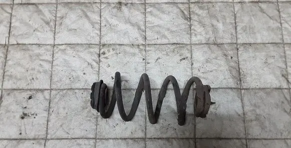 Nissan Qashqai Rear coil spring