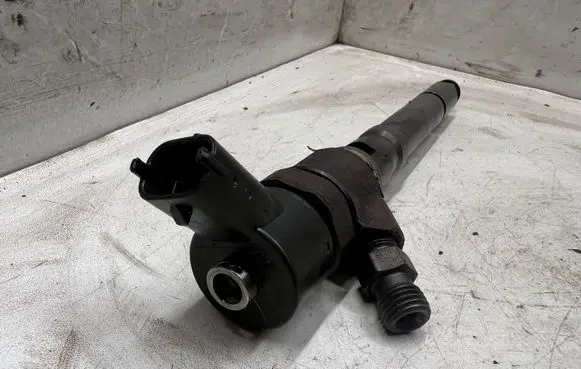 Hyundai Santa Fe Fuel injector 3380027000