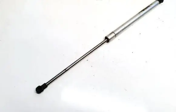 Tailgate/trunk strut/damper