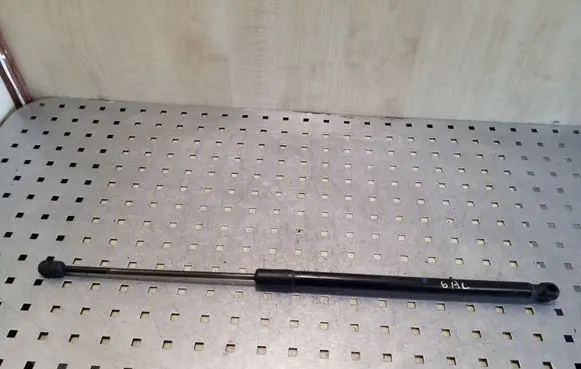 Tailgate/trunk strut/damper