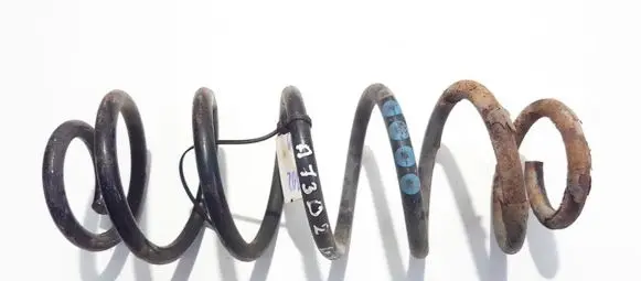 Seat Leon (1M) Rear coil spring