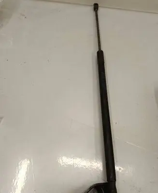 BMW 1 F40 Tailgate/trunk strut/damper 7456042