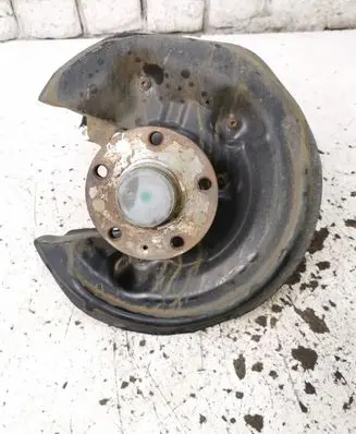 Volkswagen PASSAT B6 Rear wheel hub