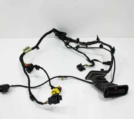 Front door wiring loom