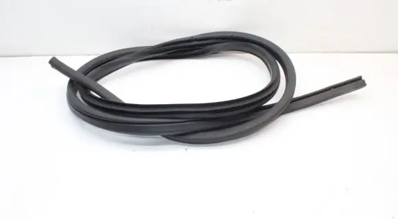 Nissan Leaf I (ZE0) Rubber seal front coupe door 