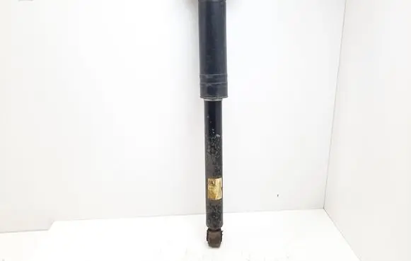 Chevrolet Orlando Rear shock absorber/damper 10348205