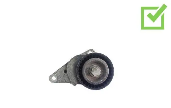 Peugeot 1007 Generator/alternator belt tensioner 