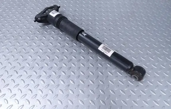 Citroen C4 III e-C4 Rear shock absorber/damper 9841379480
