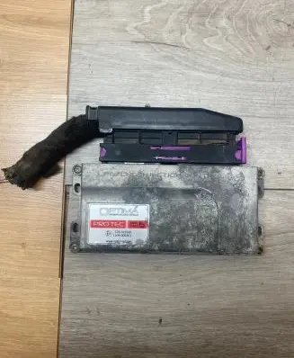 Citroen C3 LP gas control unit module 67R016560 E8110R006561