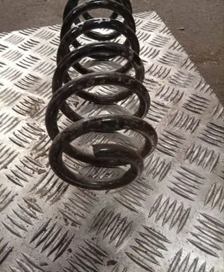 Rear coil spring