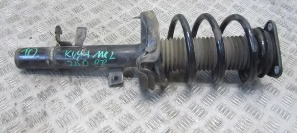 Ford Kuga II Front shock absorber with coil spring