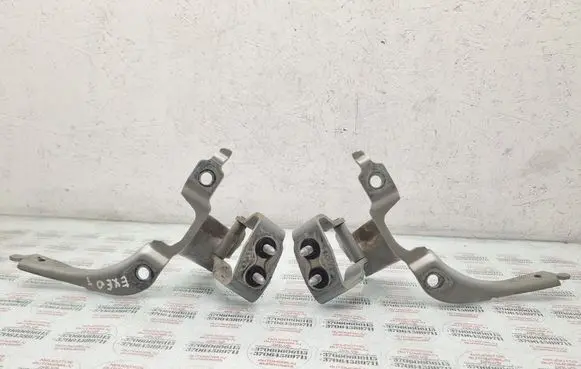 Tailgate/trunk/boot hinge