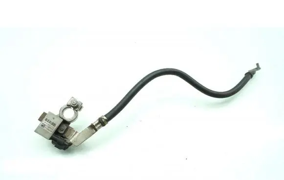 Ford Kuga II Other wiring loom F1FT10C679CB