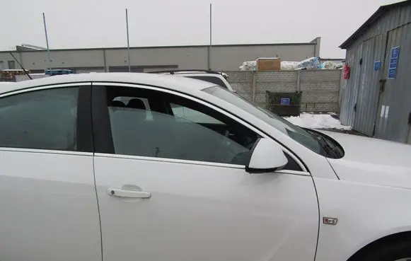 Opel Insignia A Front door 