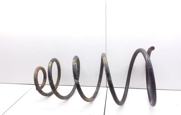 Fiat Punto (176) Front coil spring