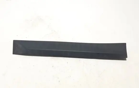 Rear door trim (molding)
