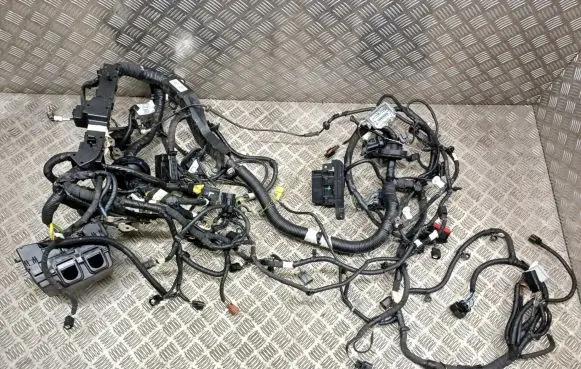Ford Mach-E I Other wiring loom CNJ8T-14290