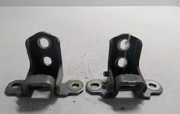 Renault Latitude (L70) Front door hinge set 