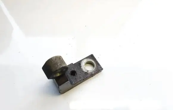Skoda Superb B5 (3U) Rear door lower hinge