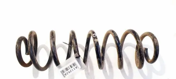 Volkswagen Jetta V Rear coil spring