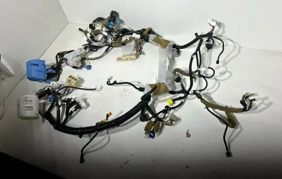 Lexus RX 300 Wiring harness 8216548010 8214148720