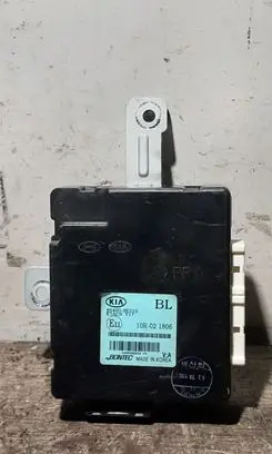 Door central lock control unit/module